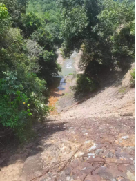 1698389035471859.jpg 1698389071421.jpg